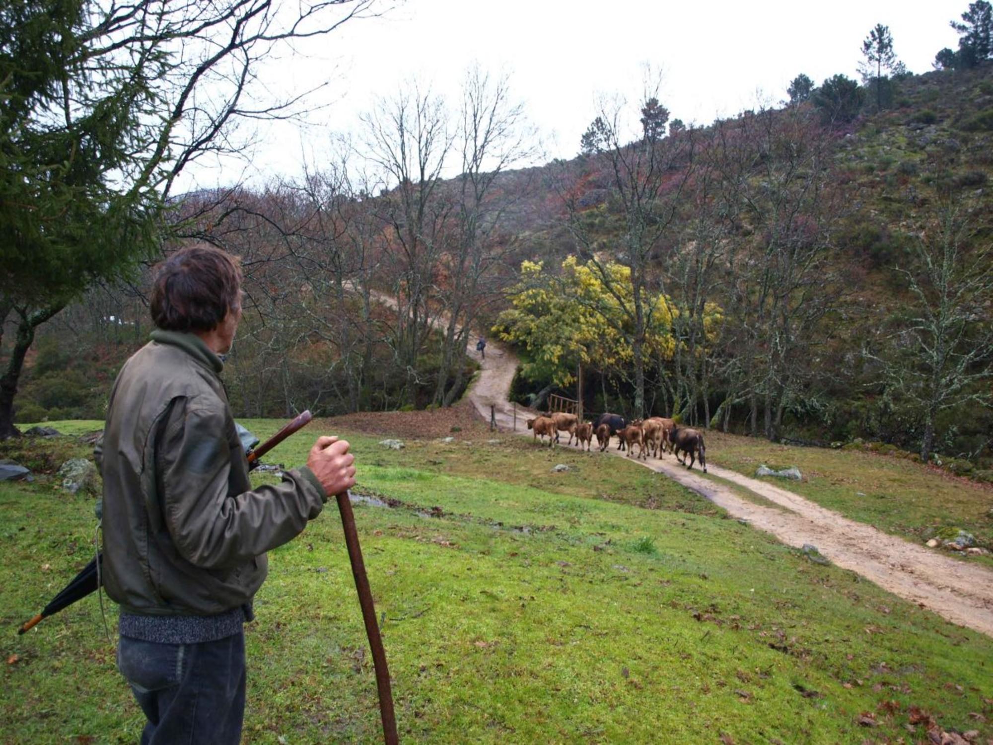 Imagen de la web del proyecto para la prevención de grandes incendios forestales Mosaico Extremadura.